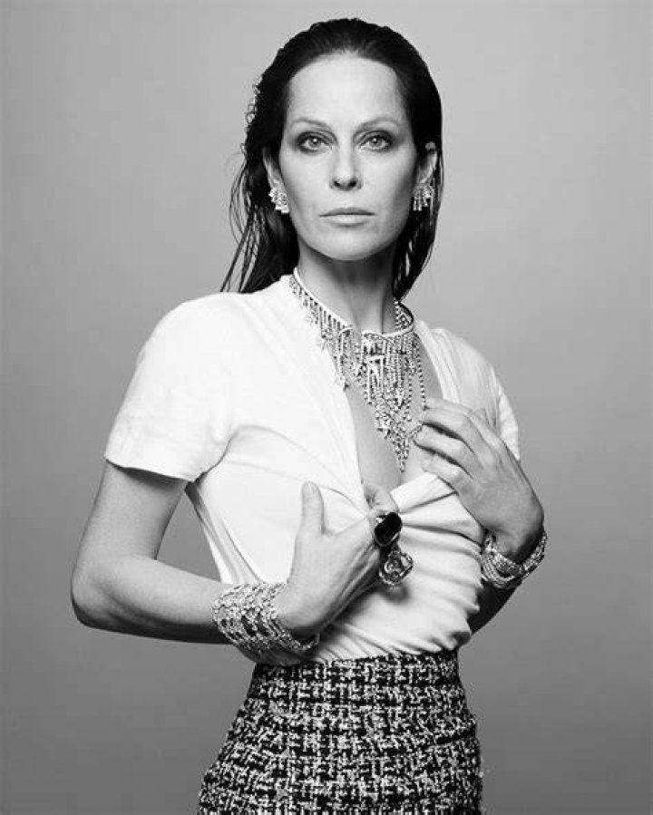 British fashion consultant Amanda Harlech became Lagerfeld's creative muse in 1997 and was his collaborator from more nearly 30 years (pictured together in 2010)